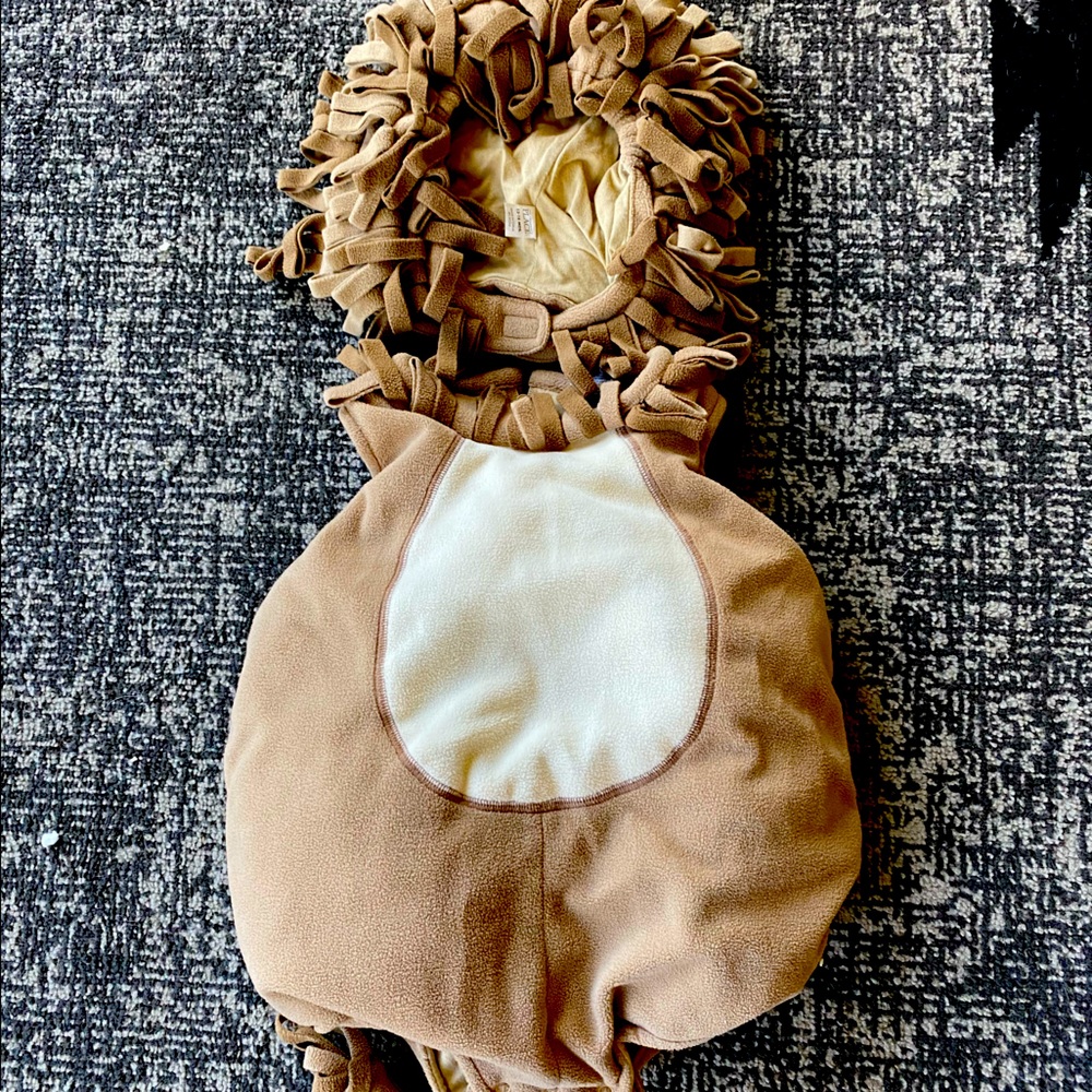 Childrens Place Lion Costume